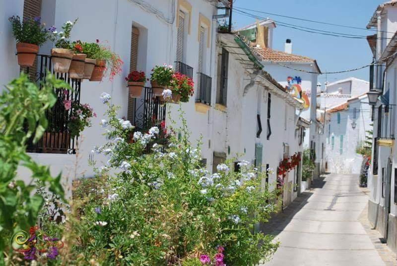 Casa Rural Sierras De Gaucín Zewnętrze zdjęcie